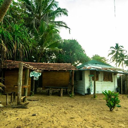Hikkaduwa Backyard Beach Homestay كالي المظهر الخارجي الصورة