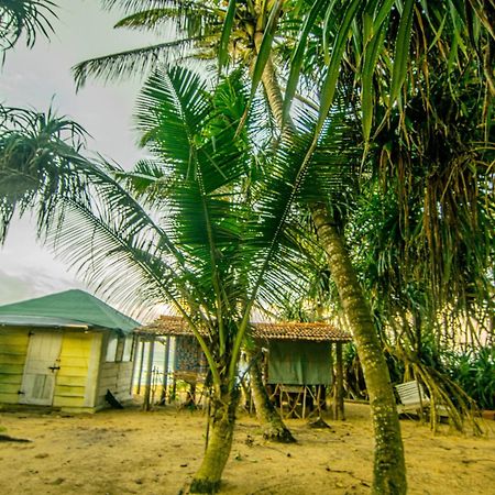 Hikkaduwa Backyard Beach Homestay كالي المظهر الخارجي الصورة