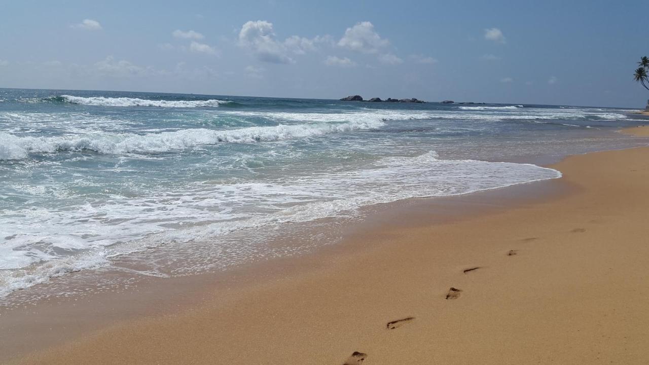 Hikkaduwa Backyard Beach Homestay كالي المظهر الخارجي الصورة