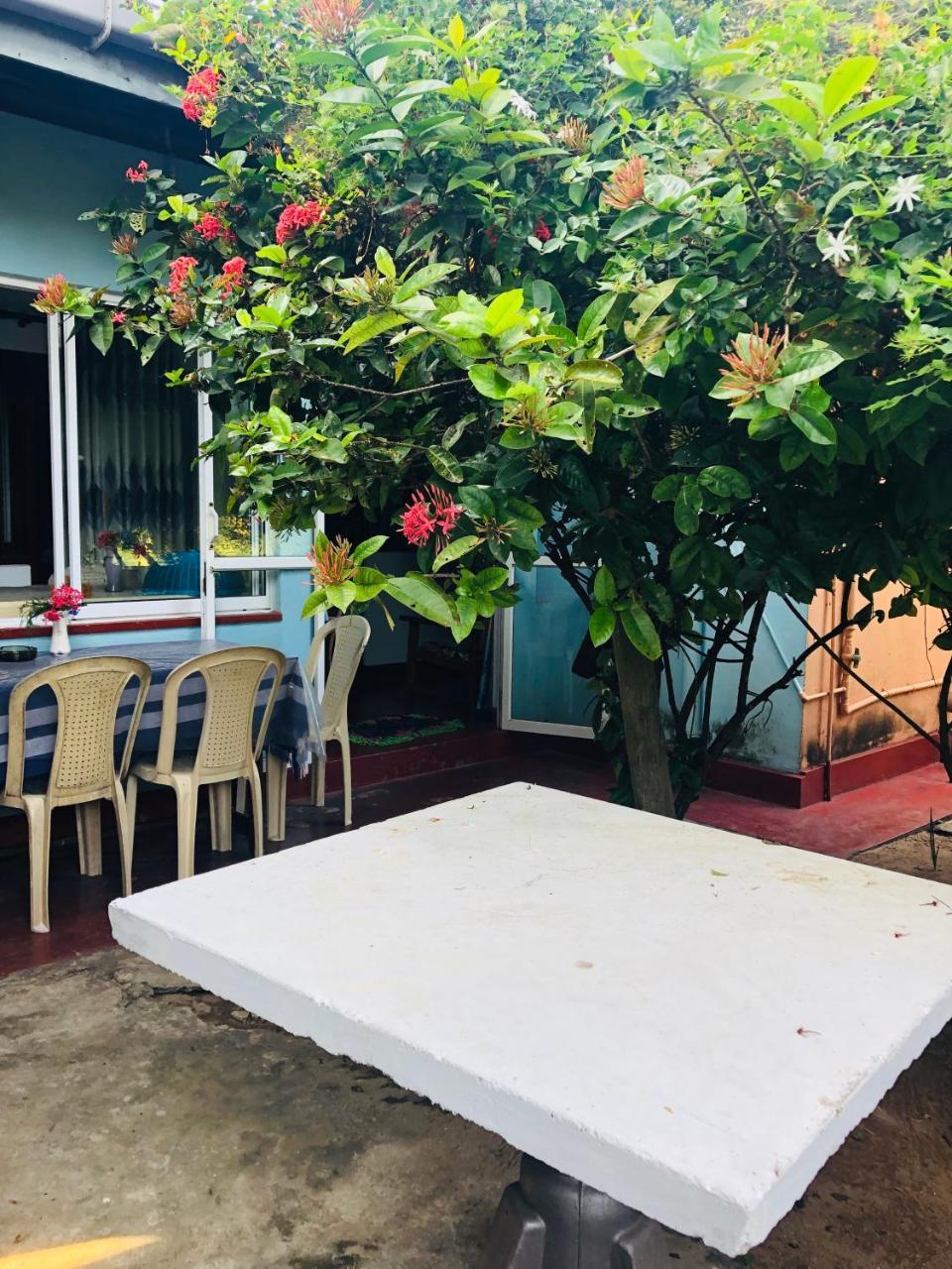 Hikkaduwa Backyard Beach Homestay كالي المظهر الخارجي الصورة