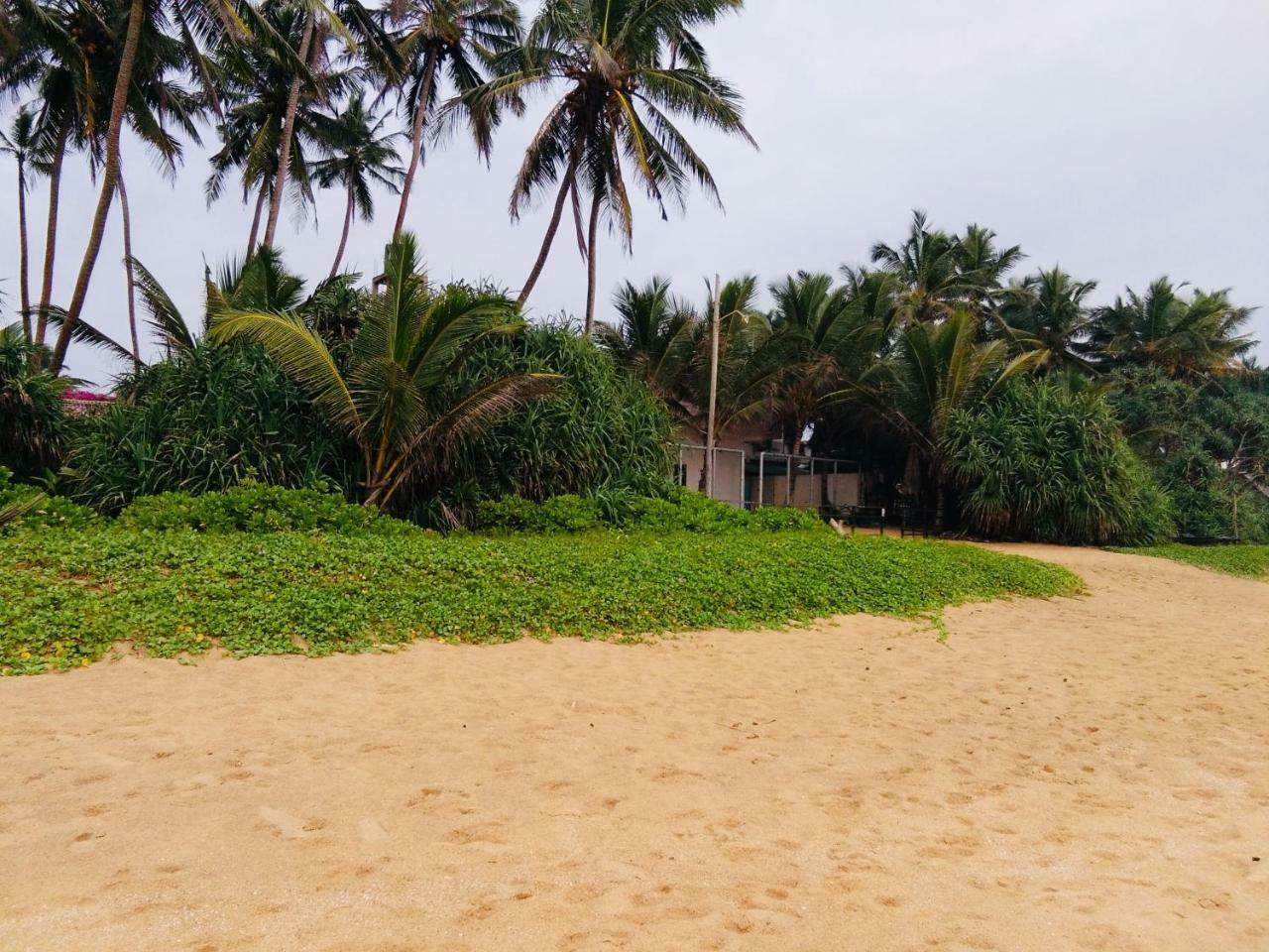Hikkaduwa Backyard Beach Homestay كالي المظهر الخارجي الصورة