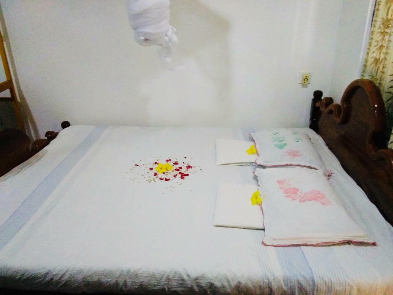 Hikkaduwa Backyard Beach Homestay كالي المظهر الخارجي الصورة