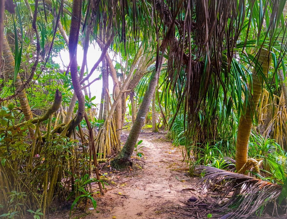Hikkaduwa Backyard Beach Homestay كالي المظهر الخارجي الصورة