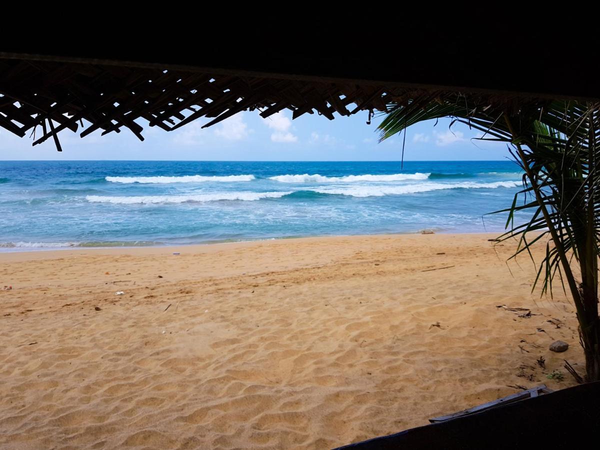 Hikkaduwa Backyard Beach Homestay كالي المظهر الخارجي الصورة