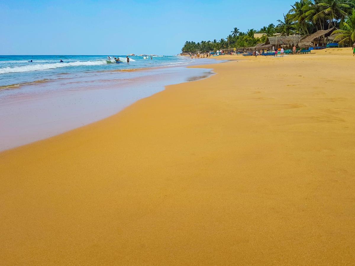 Hikkaduwa Backyard Beach Homestay كالي المظهر الخارجي الصورة