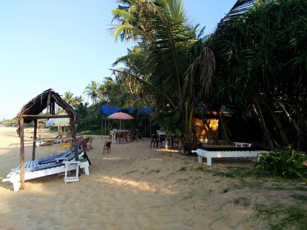 Hikkaduwa Backyard Beach Homestay كالي المظهر الخارجي الصورة