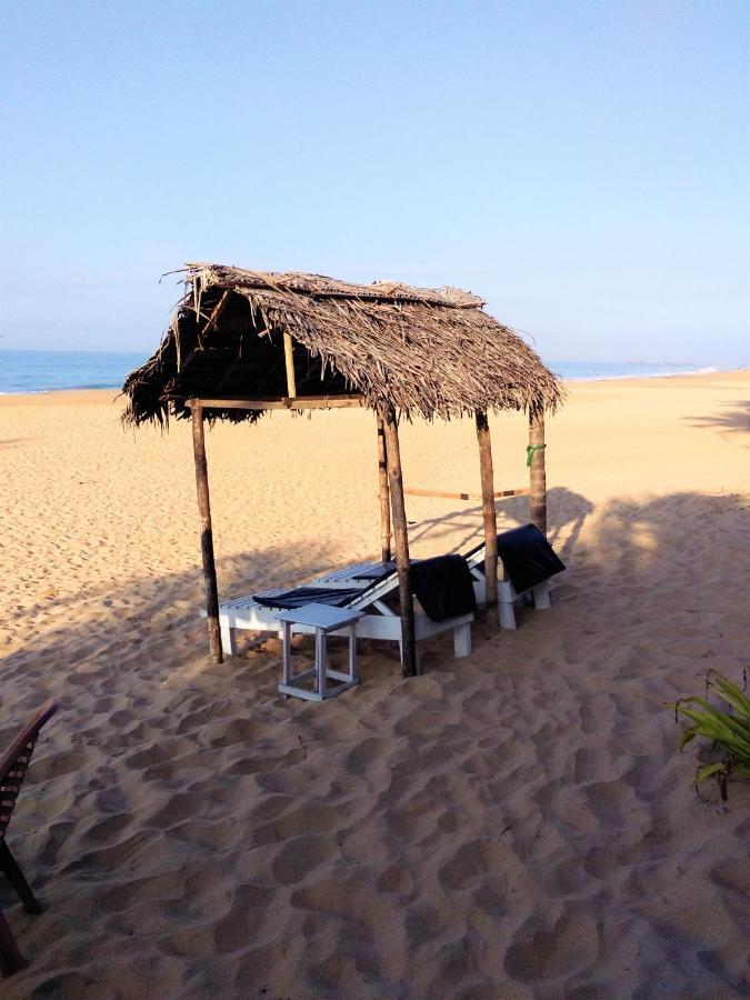 Hikkaduwa Backyard Beach Homestay كالي المظهر الخارجي الصورة